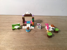 Load image into Gallery viewer, LEGO® FRIENDS 41322 Snow Resort Ice Rink